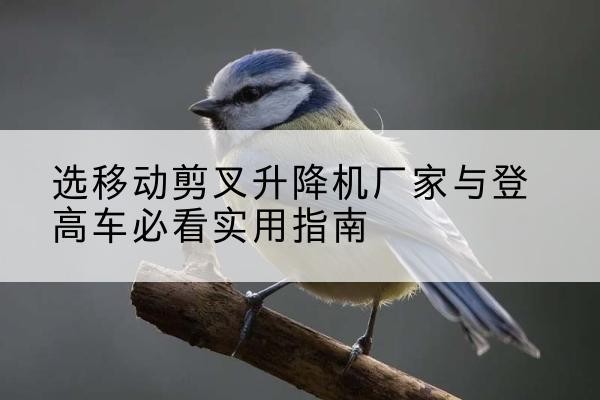 商丘电动升降机厂家-选移动剪叉升降机厂家与登高车必看实用指南