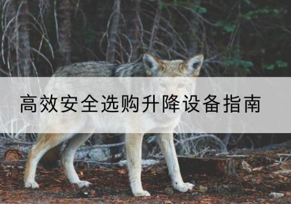 商丘升降货梯厂家推荐-*安全选购升降设备指南