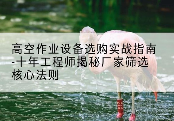 商丘剪叉式升降机厂家-高空作业设备选购实战指南-十年工程师揭秘厂家筛选核心法则