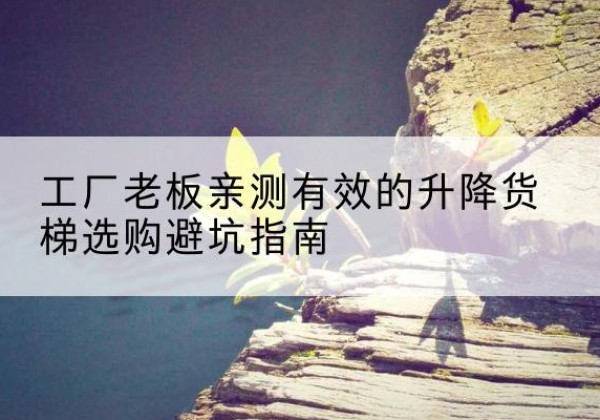 商丘升降货梯怎么选-工厂老板亲测有效的升降货梯选购避坑指南